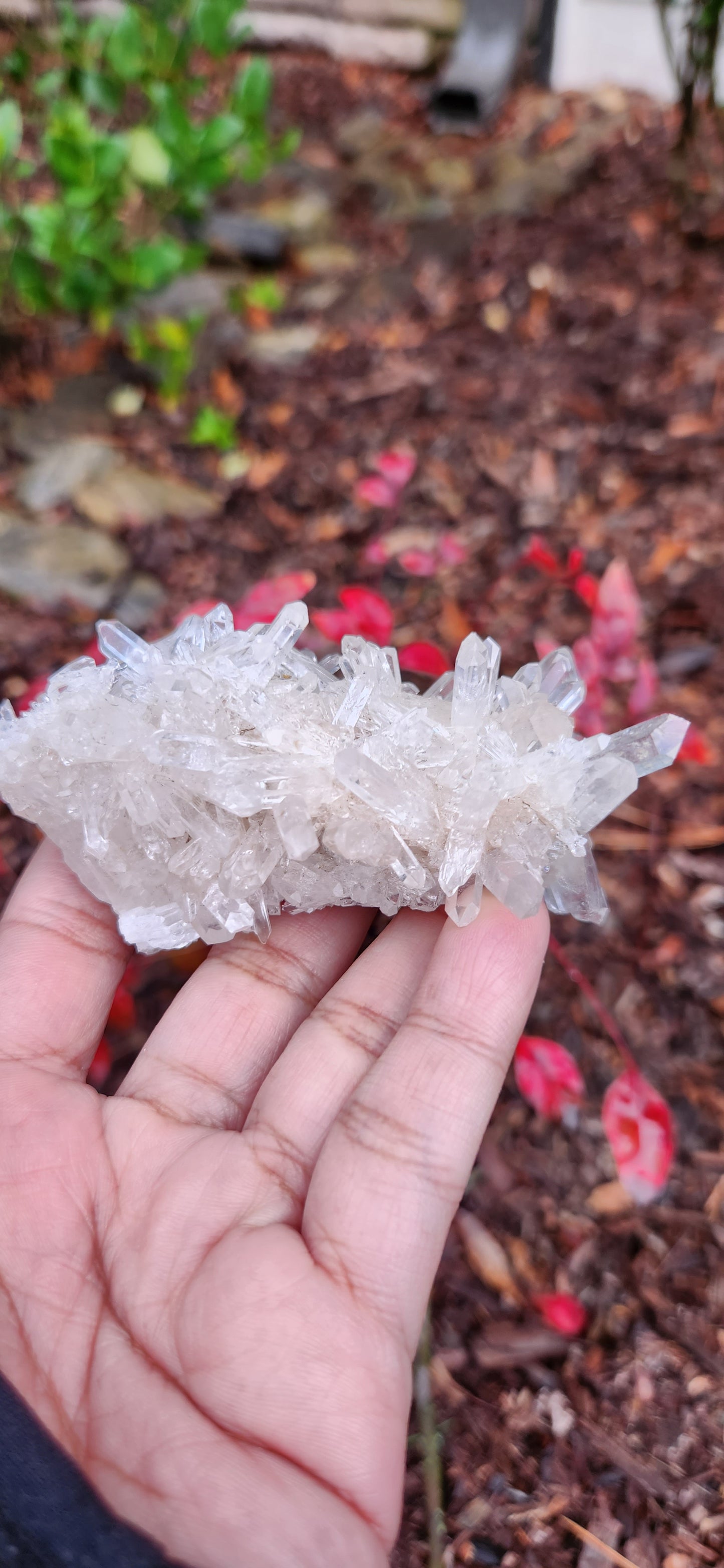 Cluster Lemurian Quartz