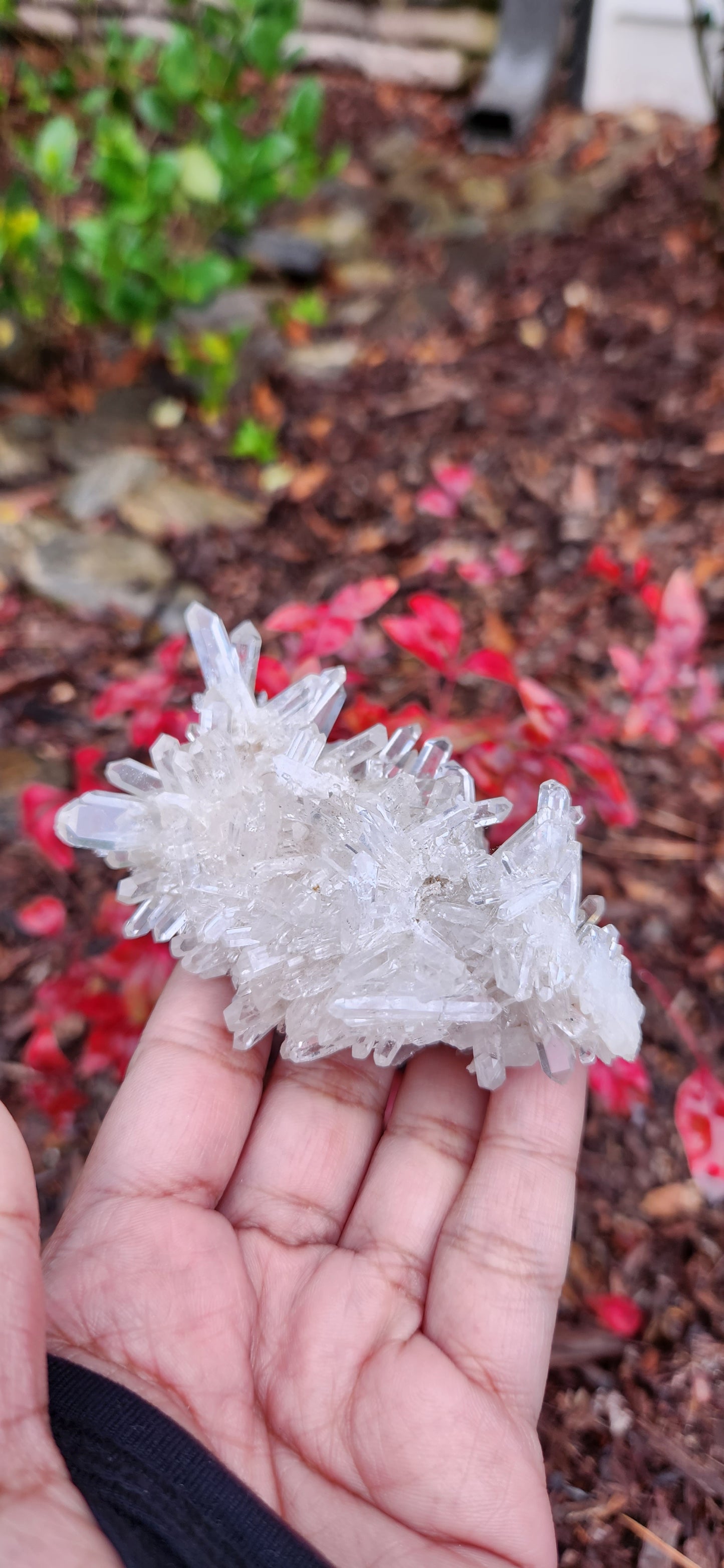 Cluster Lemurian Quartz