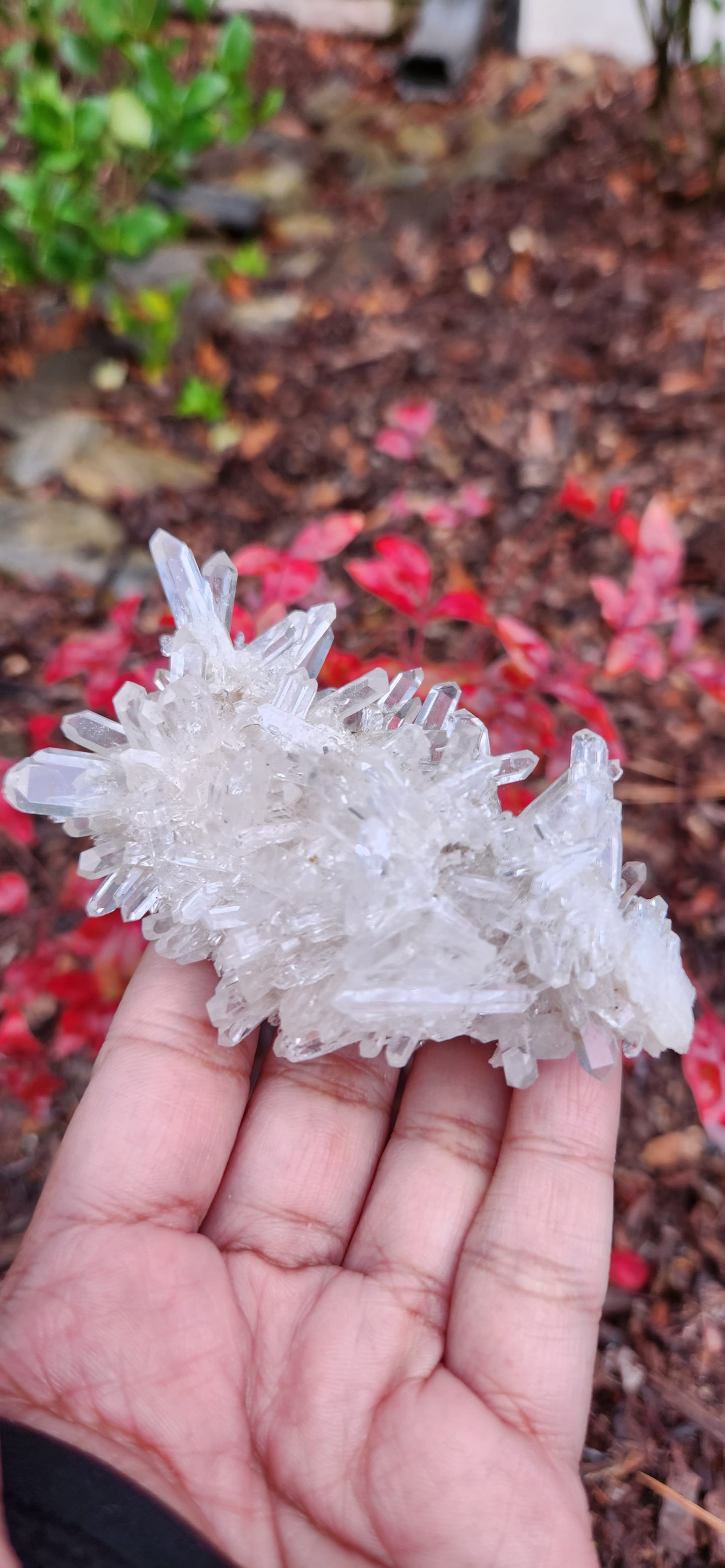 Cluster Lemurian Quartz