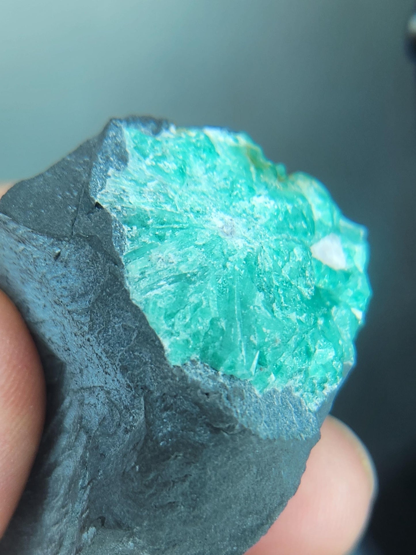 Especimen Esmeraldas Colombianas, Muzo, Cuarzo, Macla, Pirita, Natural, Ganga Esmeralda, Cristales Esmeralda, Colombia