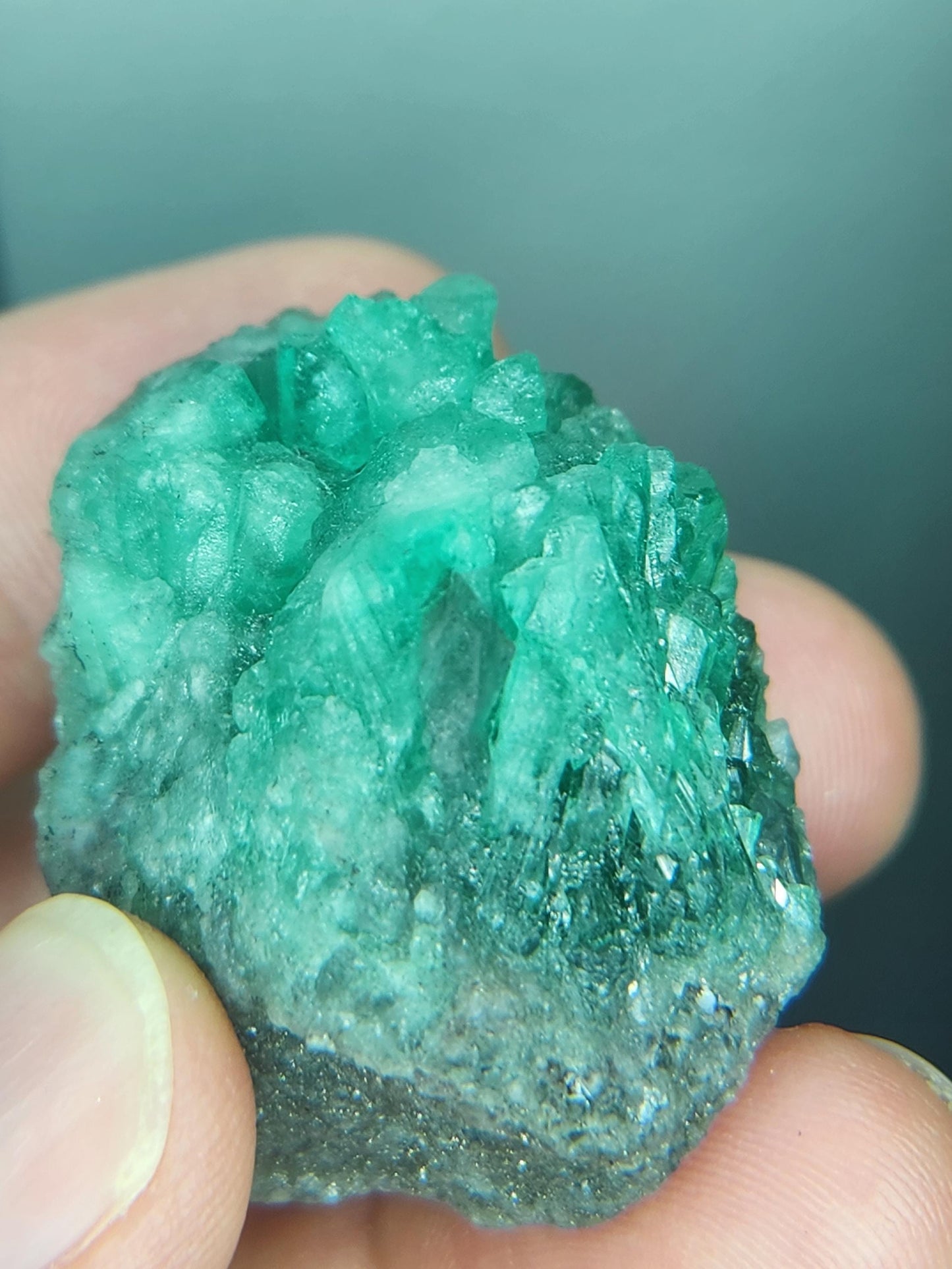 Especimen Esmeraldas Colombianas, Muzo, Cuarzo, Macla, Pirita, Natural, Ganga Esmeralda, Cristales Esmeralda, Colombia