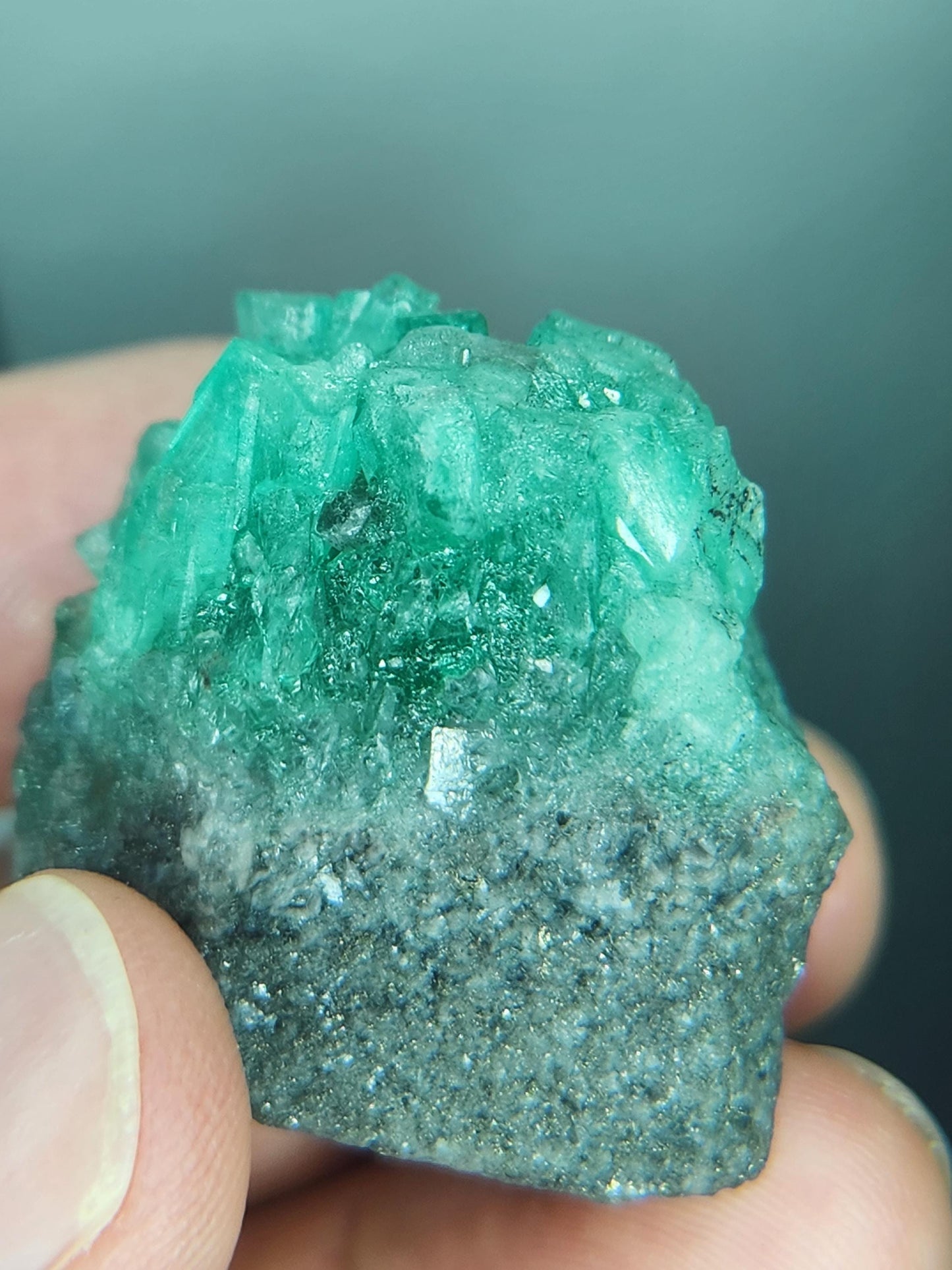 Especimen Esmeraldas Colombianas, Muzo, Cuarzo, Macla, Pirita, Natural, Ganga Esmeralda, Cristales Esmeralda, Colombia
