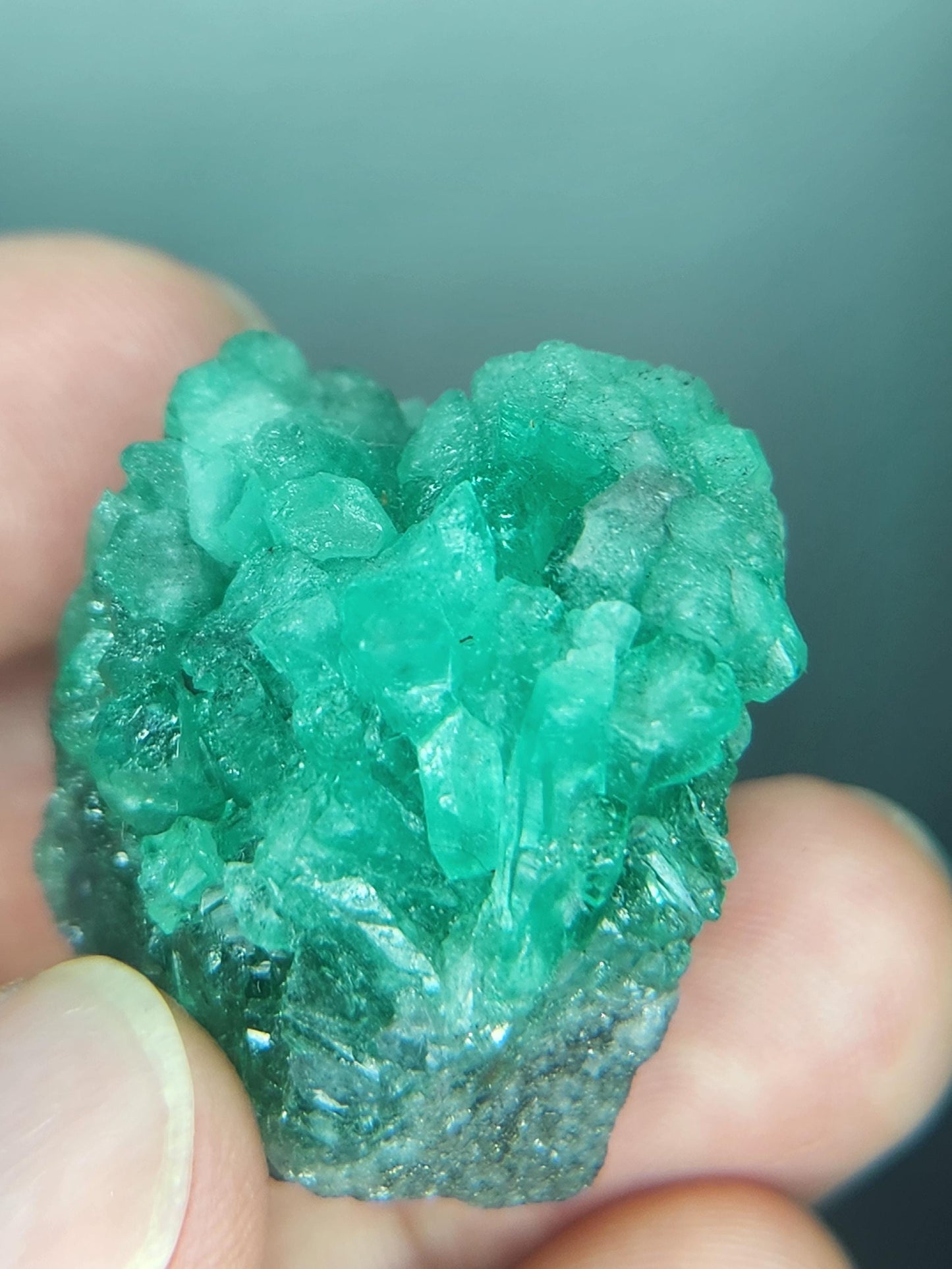 Especimen Esmeraldas Colombianas, Muzo, Cuarzo, Macla, Pirita, Natural, Ganga Esmeralda, Cristales Esmeralda, Colombia