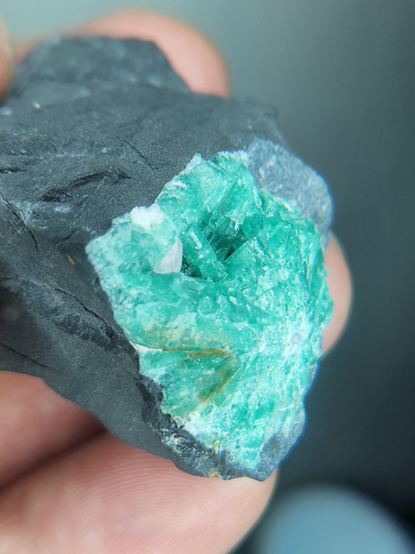Especimen Esmeraldas Colombianas, Muzo, Cuarzo, Macla, Pirita, Natural, Ganga Esmeralda, Cristales Esmeralda, Colombia