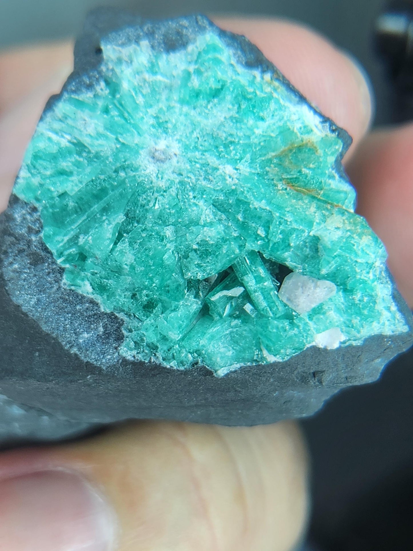 Especimen Esmeraldas Colombianas, Muzo, Cuarzo, Macla, Pirita, Natural, Ganga Esmeralda, Cristales Esmeralda, Colombia