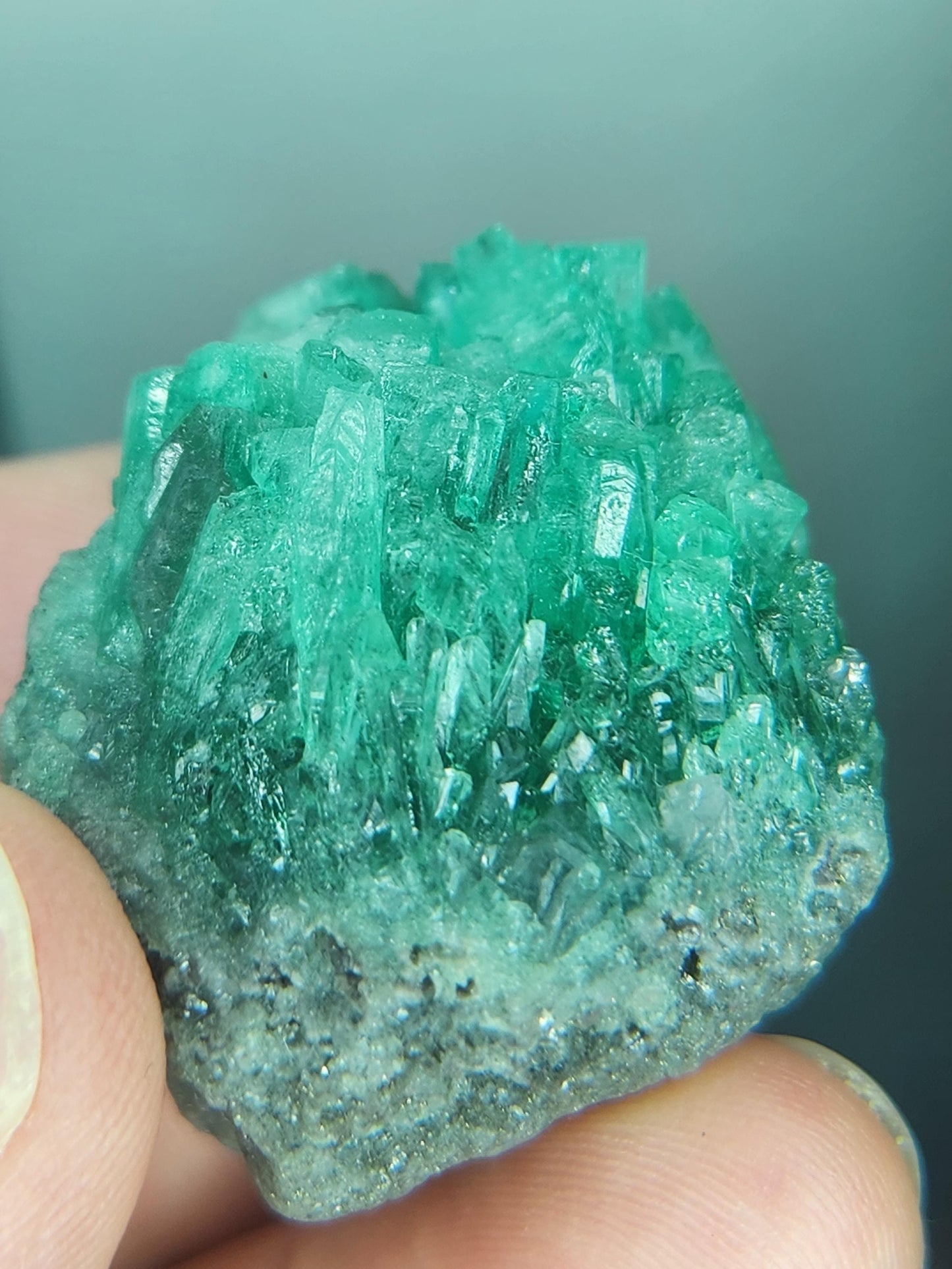 Especimen Esmeraldas Colombianas, Muzo, Cuarzo, Macla, Pirita, Natural, Ganga Esmeralda, Cristales Esmeralda, Colombia