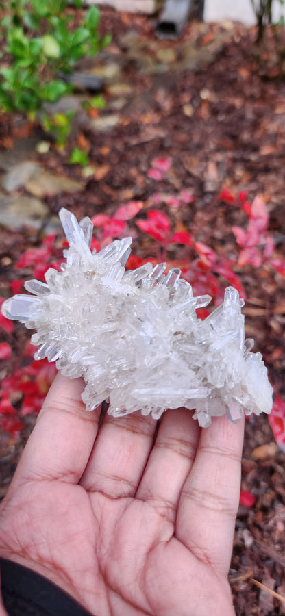 Cluster Lemurian Quartz