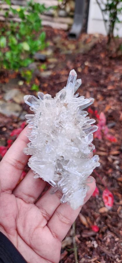 Cluster Lemurian Quartz
