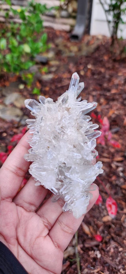 Cluster Lemurian Quartz