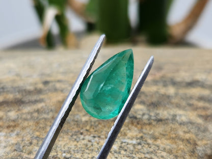 Emerald pear