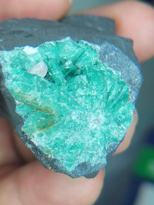 Especimen Esmeraldas Colombianas, Muzo, Cuarzo, Macla, Pirita, Natural, Ganga Esmeralda, Cristales Esmeralda, Colombia