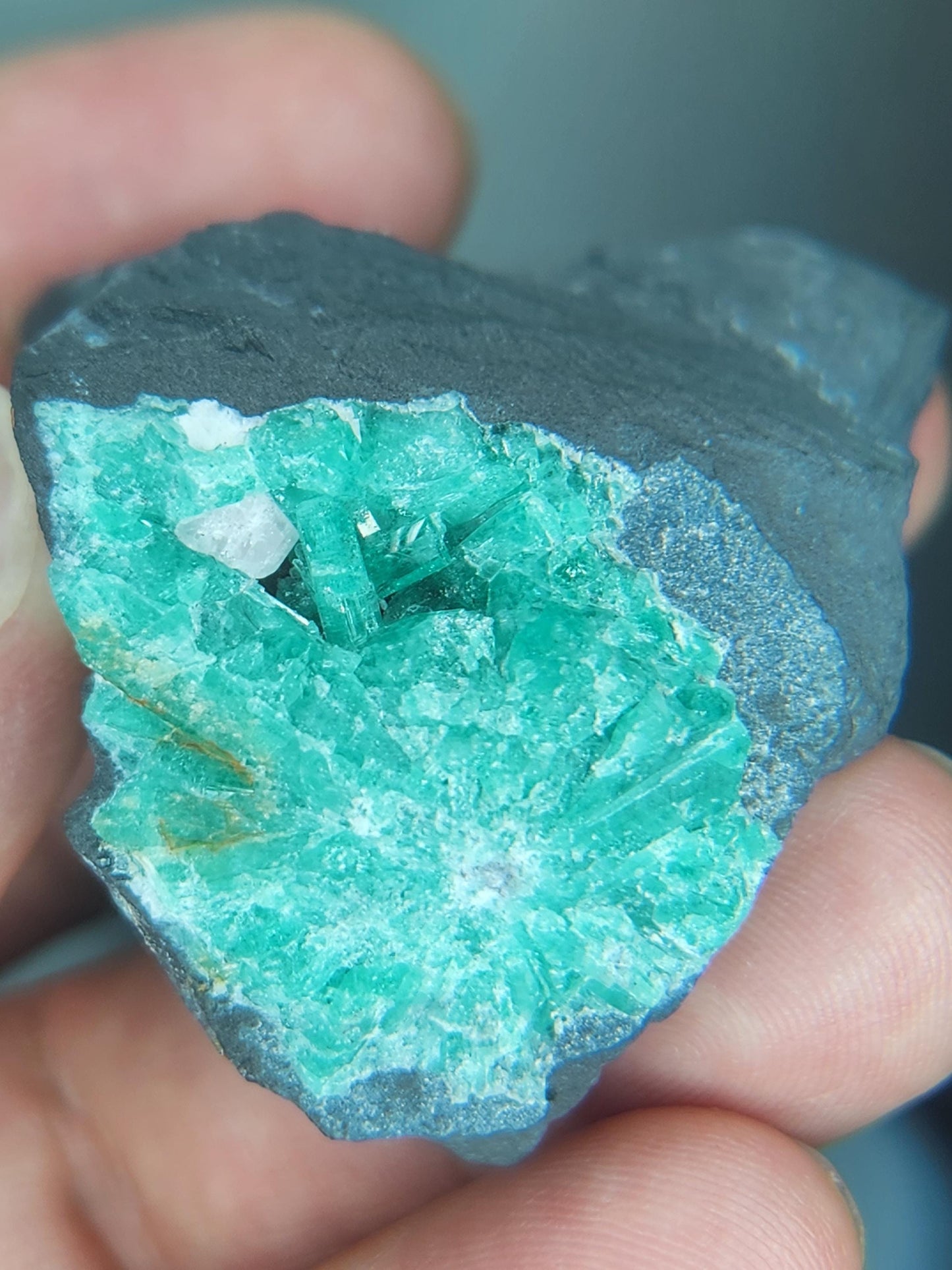 Especimen Esmeraldas Colombianas, Muzo, Cuarzo, Macla, Pirita, Natural, Ganga Esmeralda, Cristales Esmeralda, Colombia